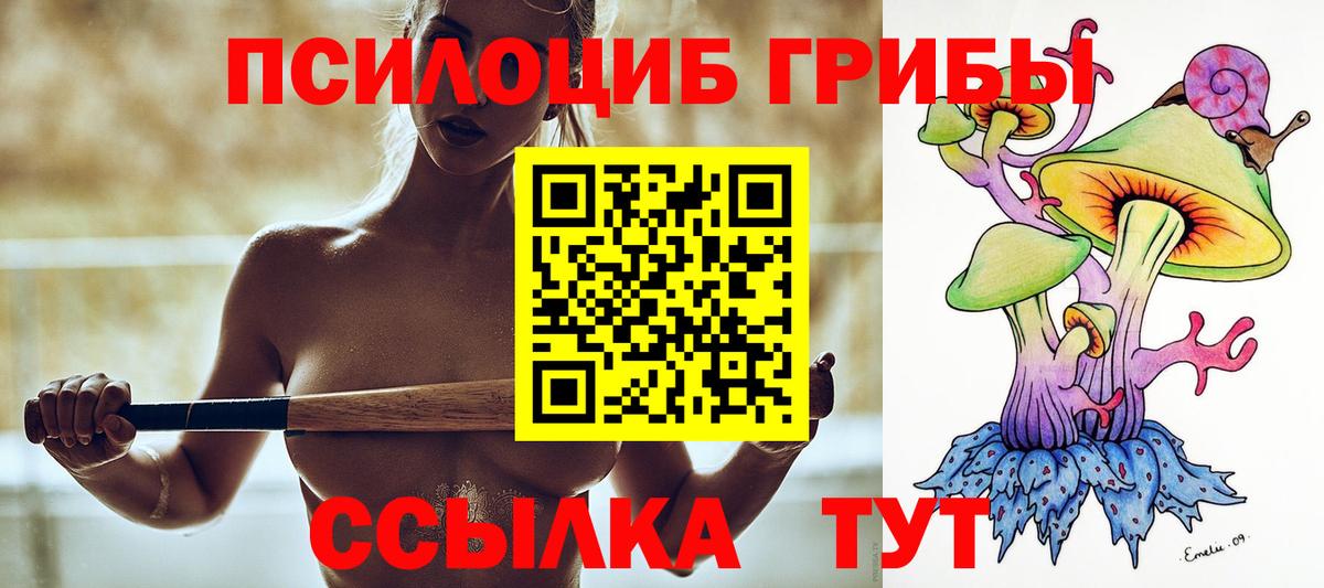 Галлюциногенные грибы Cubensis Арсеньев